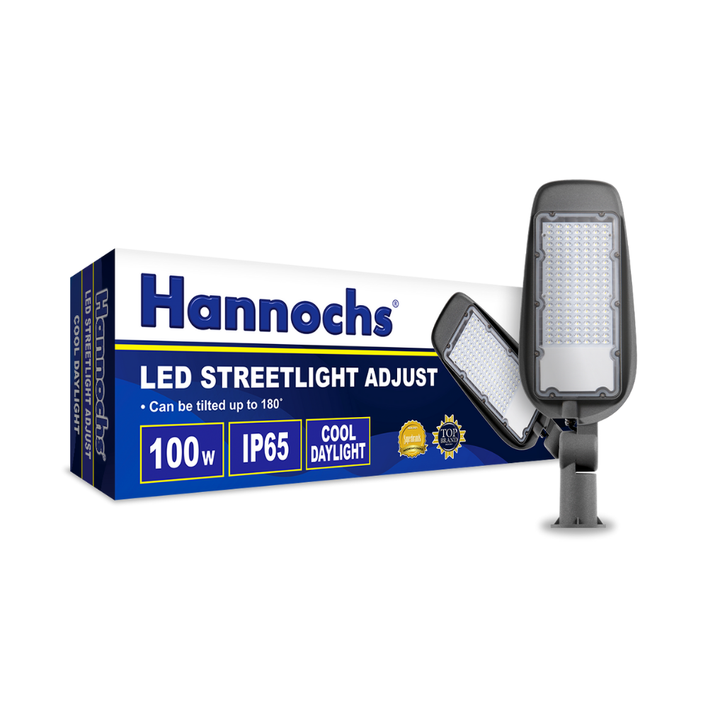 LAMPU JALAN 100W HANCH ADJUST