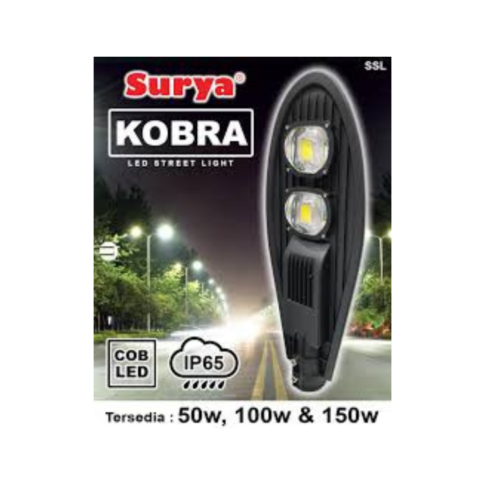 COBRA 100W SOLAR STREET LIGHT