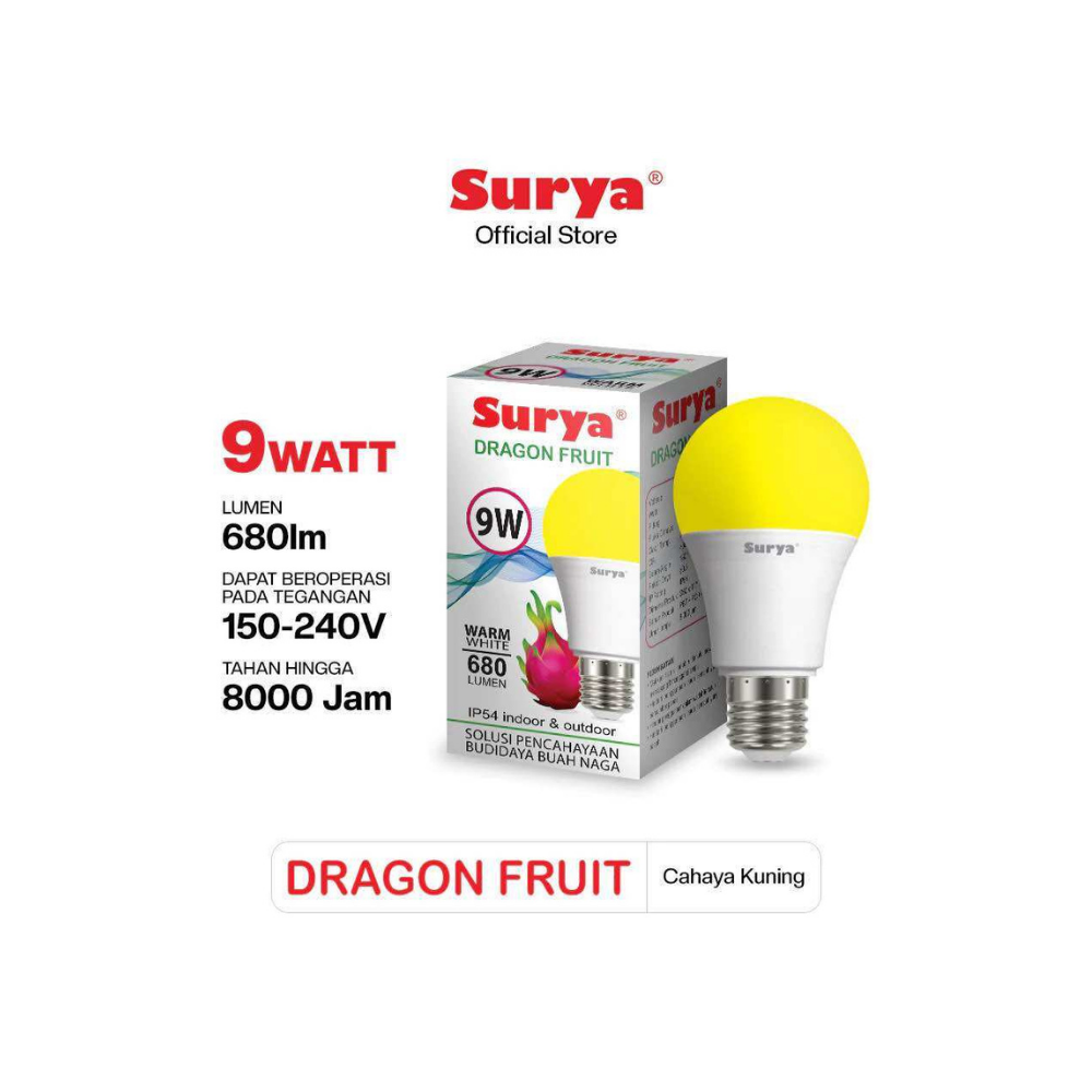 DRAGON FRUIT BALLS 9W SURYA
