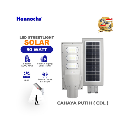 HANNOCHS 90W STREET LAMP