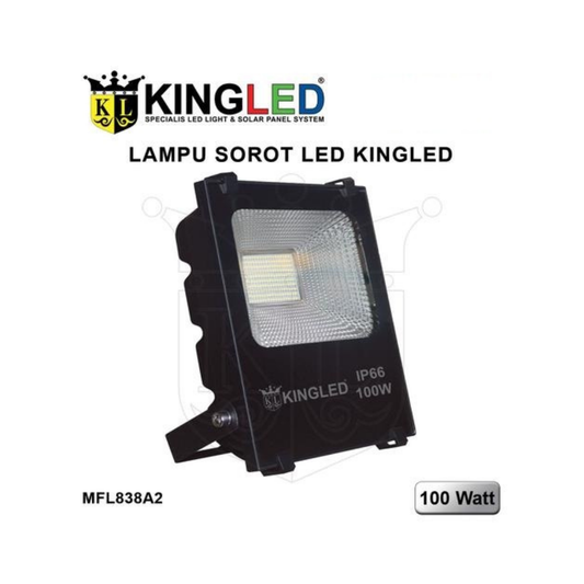 LAMPU JALAN KINGLED 100W
