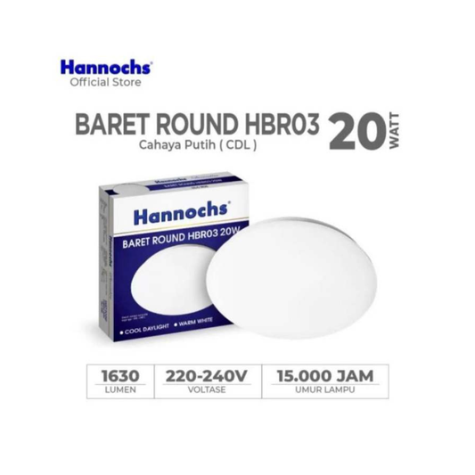 20W HANCH BARET CEILING LAMP