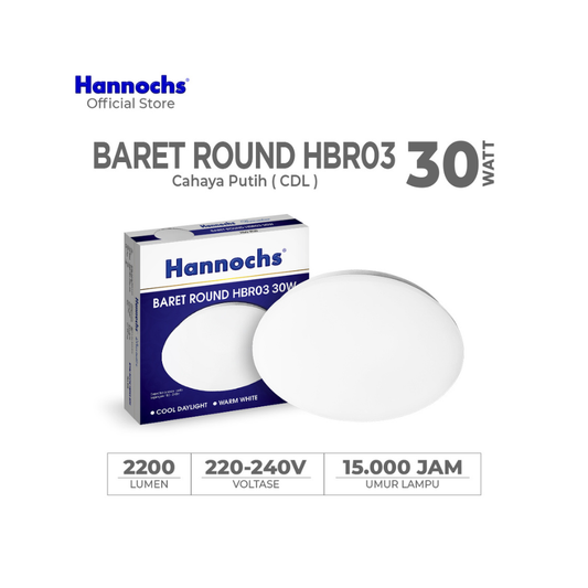 30W HANCH BARET CEILING LAMP