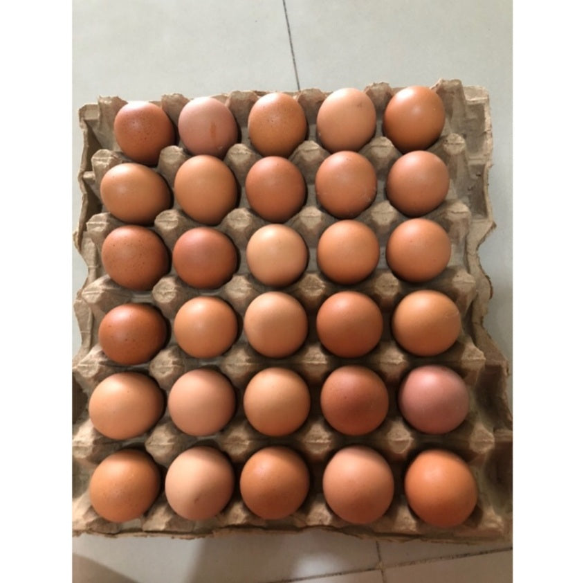 TELUR AYAM EROPA KECIL 30 BUTIR TELUR AYAM NEGERI