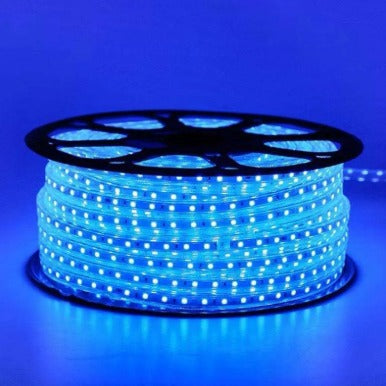 LAMPU SELANG PROBEST 100M (60LED) ROLL
