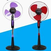 STANDFAN M CARSLAN