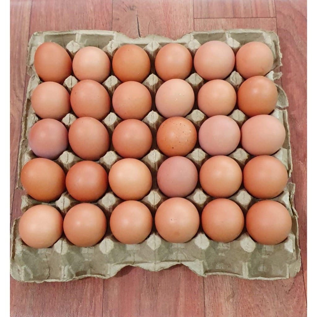 TELUR AYAM EROPA BESAR 30 BUTIR TELUR AYAM NEGERI